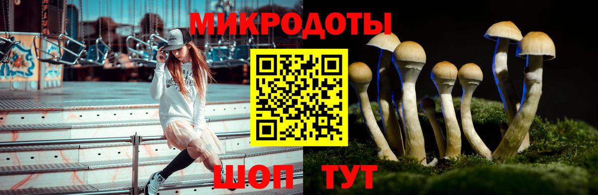 сколько стоит  Галлюциногенные грибы мухоморы  Псилоцибиновые грибы мухоморы  Вход с VPN  Минусинск 
